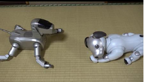 可爱机器狗