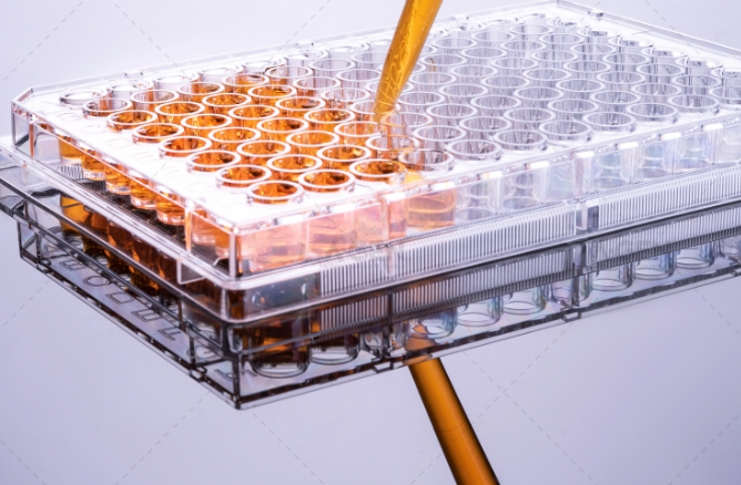 QQ20250408-093617.png QQ20250408-093617.png